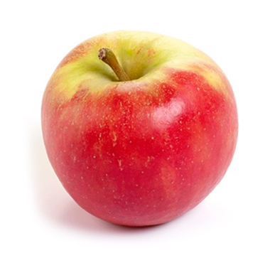 meerderheid Graan Lijm Elstar appel, per 2 kilo - Groente fruit en aardappelen online bestellen
